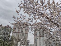 -哈尔滨音乐公园
