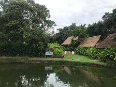 -大象粑粑造纸公园