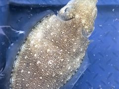-蓝湾碧波·老字号·疍家非遗海上餐厅