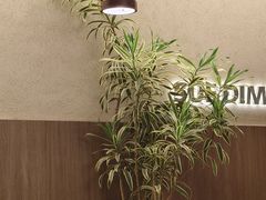 -苏小柳点心·手作小笼包(浦东嘉里城分院)