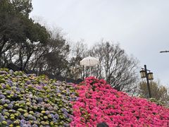 -苏州上方山国家森林公园