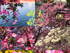 -莫愁湖公园