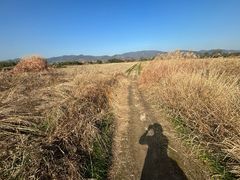-良渚古城遗址公园