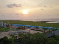 -南汇嘴观海公园