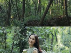 -铁山坪森林公园