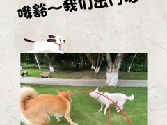 -金牛万达广场