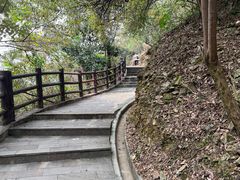 -羚羊峡古栈道森林公园