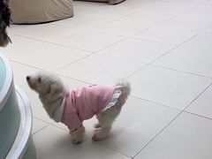 -怪兽屋·羊驼·猫咖·狗咖(俊华广场店)