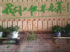 -关东情主题文化演艺餐厅