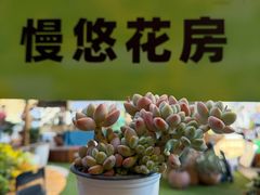 -瑞虹新天地月亮湾
