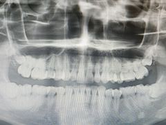 -上海市徐汇区口腔医院