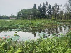 -中澳友谊花园