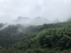 -熊猫主题餐厅