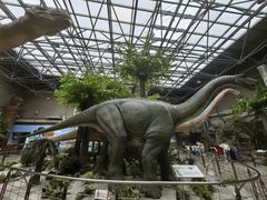 -国家自然博物馆