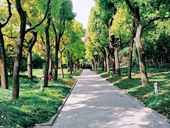 -宋庆龄陵园