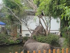 -湖南别院·美学庭院餐厅(惠阳店)