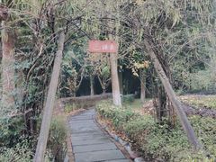 -雅安楠水阁温泉酒店