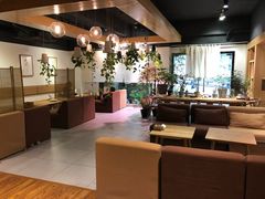 -柴务处·柴犬主题狗咖