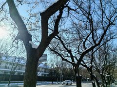 -申德勒加油站西餐厅(日坛路总店)