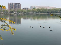 -中华世纪坛-停车场