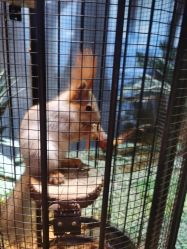 -酷嗒动物文化乐园(cutezoo西溪乐天城店)