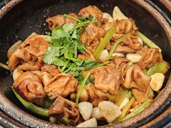 -煲煲好(朝阳门店)