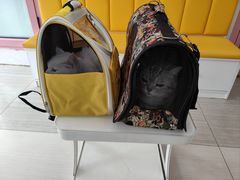 -全心全意连锁动物医院·微创中心·内科急重症·心脏专科(丰管路店)