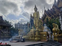 -曼听御花园