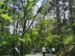 -青龙山国家森林公园