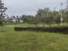 -九龙湖公园