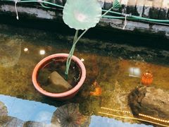 -茯茶镇