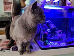 -平行世界·猫咖(首经贸店)