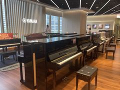 -知音艺术教育培训·钢琴培训·音乐培训(河西金鹰世界校区)