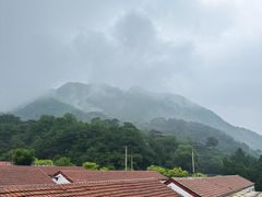 -遇见小院—虹鳟鱼•农家菜(怀柔店)