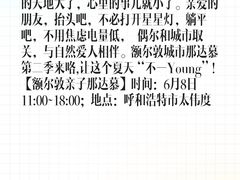 -额尔敦牛厨师铜板烧