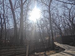 -封龙山风景区
