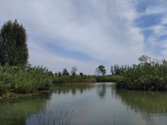 -泗洪洪泽湖湿地景区