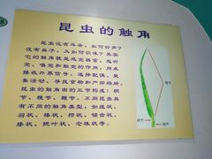 -上海昆虫博物馆