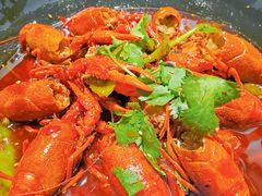 -红辣椒·川菜·火锅(张杨路店)