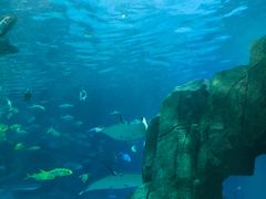 -福州罗源湾海洋世界旅游区