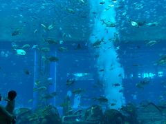 -亚龙湾海底世界