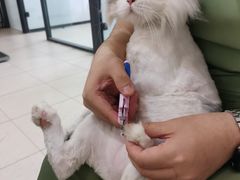 -萌兽医馆·眼科·异宠专科(三里屯店)
