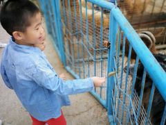 -祥源·阜阳生态乐园