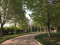 鹤壁迎宾馆-鹤壁迎宾馆