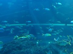 -成都浩海立方海洋公园