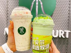 牛油果酸奶奶昔-茉酸奶(春熙路店)