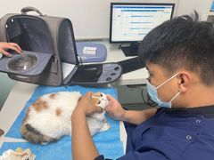 -达爱动物医院·犬猫分区·CT·复杂眼科(远洋山水分院)