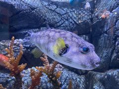 -成都浩海立方海洋公园