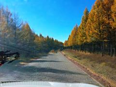 -塞罕坝国家级自然保护区