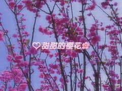 -观澜湖生态运动公社